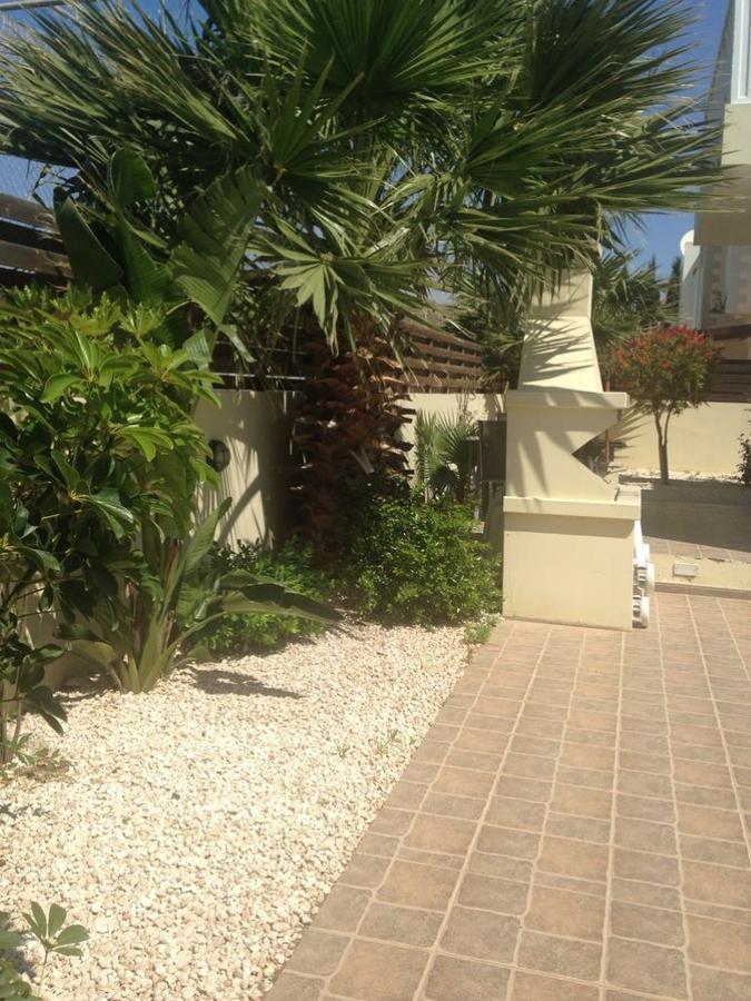 Villa Favor - 3 Bed With Pool Close To Nissi Beach Айя Напа Екстериор снимка
